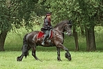 Frau reitet Friese / woman rides friesian horse