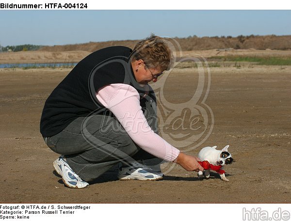 Parson Russell Terrier Welpe / parson russell terrier puppy / HTFA-004124
