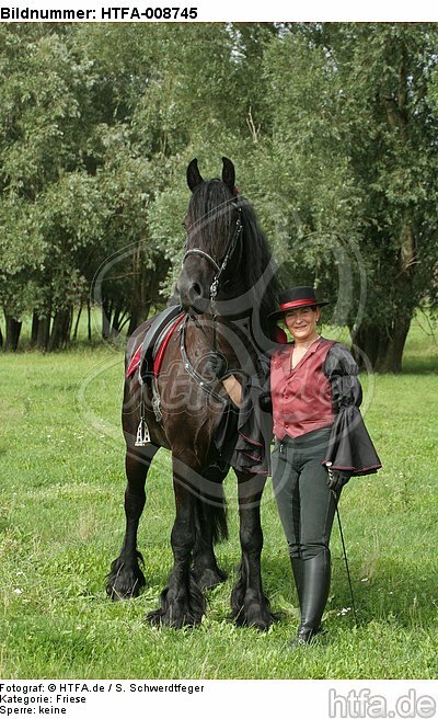 Frau mit Friese / woman and friesian horse / HTFA-008745