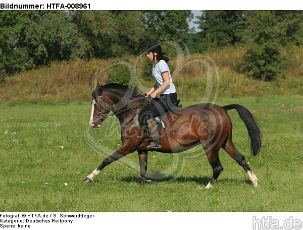 Frau reitet Deutsches Reitpony / woman rides pony / HTFA-008961