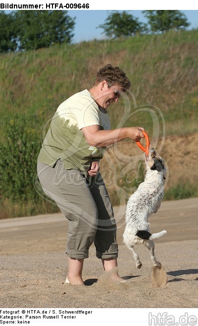 Frau spielt mit Parson Russell Terrier / woman plays with PRT / HTFA-009646