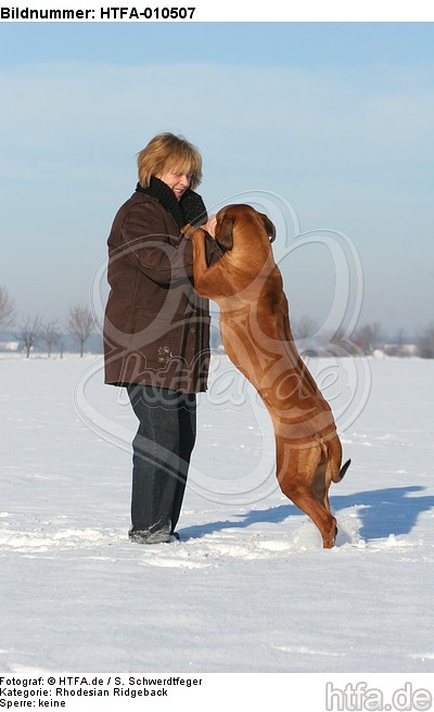 Frau mit Rhodesian Ridgeback / woman with Rhodesian Ridgeback / HTFA-010507