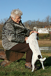 Frau streichelt Parson Russell Terrier / woman is fondling prt