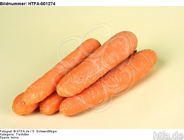 Möhren / carrots / HTFA-001274