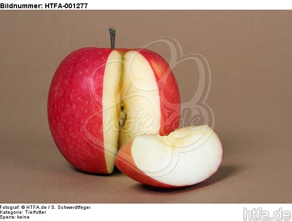 Apfel / apple / HTFA-001277