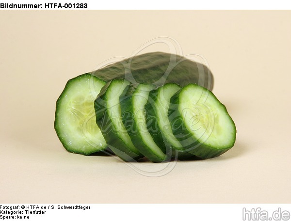 Gurke / cucumber / HTFA-001283