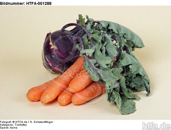 Möhren und Kohlrabi / carrots and kohlrabi / HTFA-001288